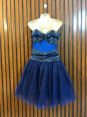Chest 20  Length 36  Fabric Net And Silk Women's Fashionable Mini Dress