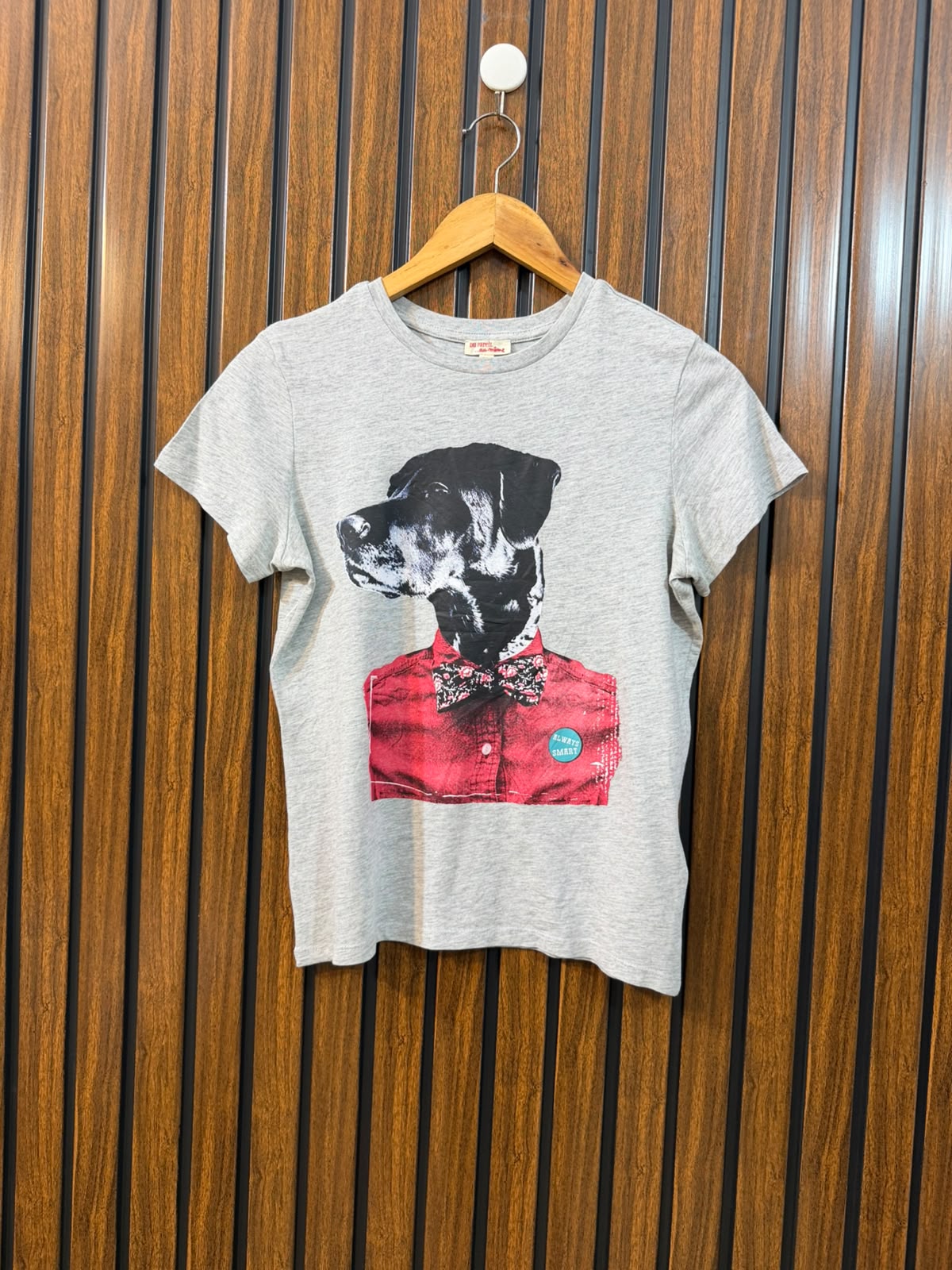 Chest 17  Length 20 Western Wear T-Shirt