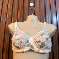 Chest medium Western Bra Range
